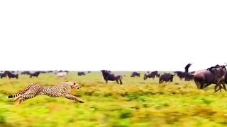 If you want to succeed, focus on the goal