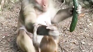 What a Wicked Parent ????