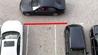 Art _ Painting - Learn how to be a good driver_ ---- - BeePaintings