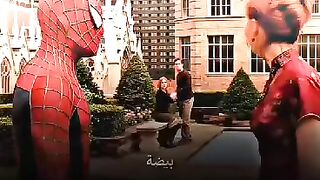 spider funny