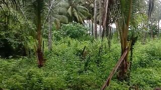 Suasana setelah hujan di sore hari
