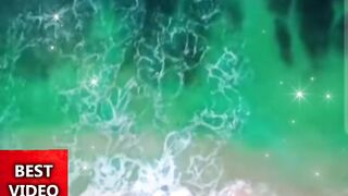 Amazing ابهرت اللجنه والجمهور