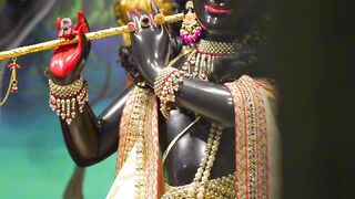 Sri Hari #hari #krishna