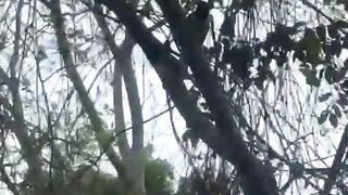 En la plaza