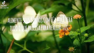 Alimente seus sonhos com fé!!