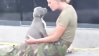 Dog Love