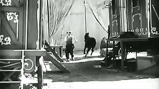 Charlie Chaplin the legend