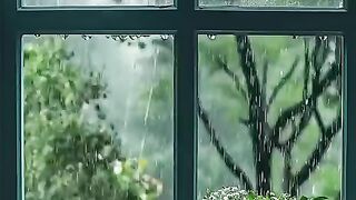status,status video,status song,status whatsap,beast song,good song,video,songs