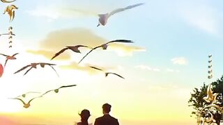 status,status video,status song,status whatsap,beast song,good song,video,songs