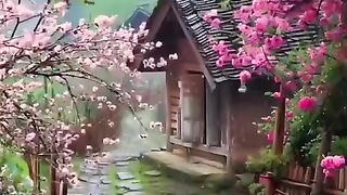 status,status video,status song,status whatsap,beast song,good song,video,songs