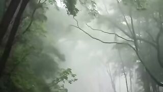 status,status video,status song,status whatsap,beast song,good song,video,songs