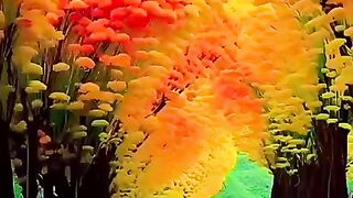 status,status video,status song,status whatsap,beast song,good song,video,songs