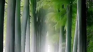 status,status video,status song,status whatsap,beast song,good song,video,songs