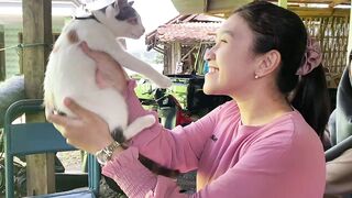Beautiful girl love a cat