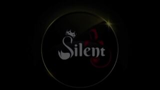 Silent _whatsappstatus