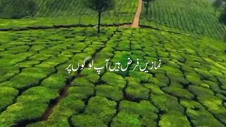 اللہ کے بندوں نمازیں فرض ہیں