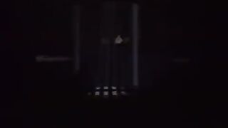 Johnny Hallyday - L'envie (Live à Bercy / 1987)