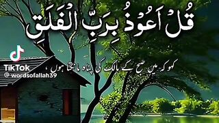 Islami video