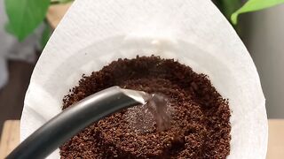 Coffee v60