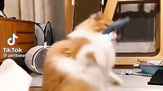 ????????????????????
