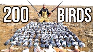 SHOOTING 200 Pigeons!!!Kansas Pigeon Huting