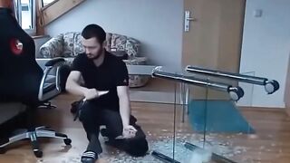 Смехотворное