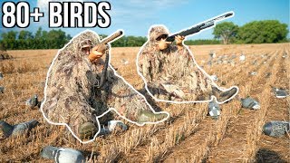 Crazy Ghillie suit Pigeon Hunting Challenge!!!(80+Birds)