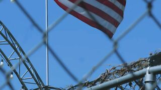 9-star-usa-flag-waving-behind-a-mesh