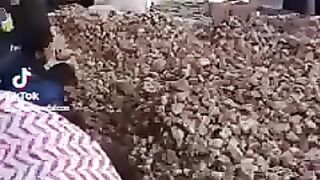 الفقع