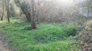 Naturaleza, paisajes,//////suscríbete ????????