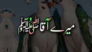 JUMA Mabrak ???????????? suban Allah ????????