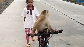 #funny video#video#funny#comedy