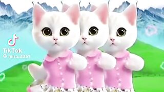 cat dance