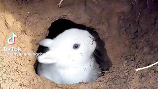 Cute baby