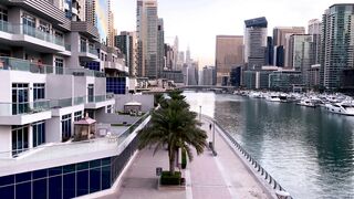 "Dubai: The Business and Travel Connection"