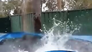 Entertainment and Finn