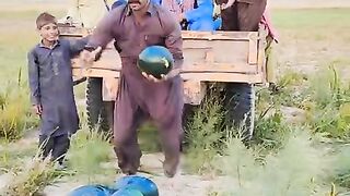 funny video