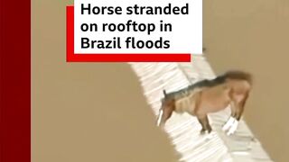 Floods and landslides have killed at least 100 people in Rio Grande do Sul, Brazil.
