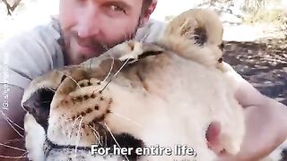 The Heartwarming Journey of a Man and an Abandoned Lion Cub