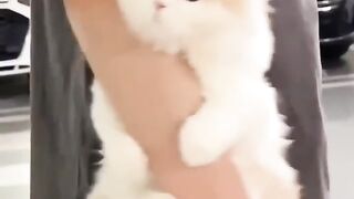 He thought that I was a swing, very cute