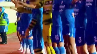 persib bandung football team in Indonesia