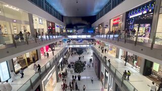 "Dubai Delights: A Discovery of Happiness"