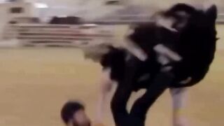FUNNY VIDEO HIGHLIGHTS
