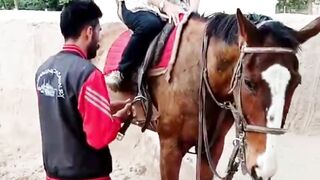 Horse riding