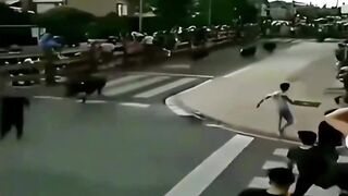 INCREDIBLE STUNT OF ALL TIME
