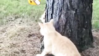 WHAT HAPPENED IN THIS VIDEO| TAP TO WATCH