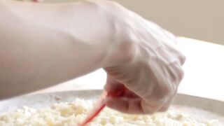 "Sensory Satisfaction: Discovering Exquisite Foods"