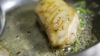 "Feast Your Senses: A Culinary Exploration"