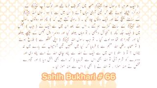 Sahih Bukhari # 66