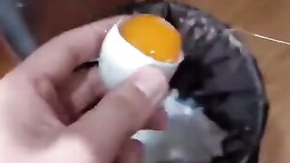 Chick Born From Egg